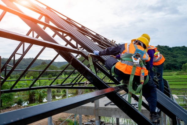 Best Roof Gutter Cleaning  in Steelville, MO