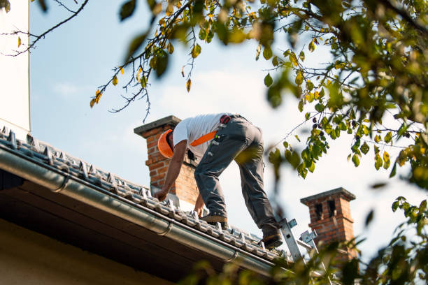 Best Flat Roof Repair Services  in Steelville, MO